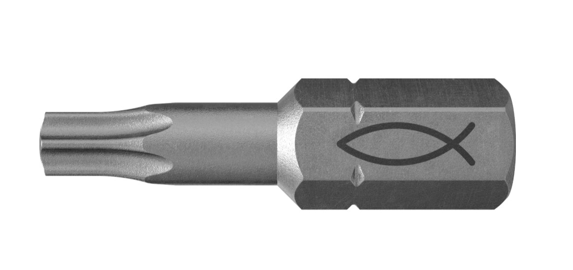 Bit Fischer Profi T15 FPB W 10ks/bal (557846)